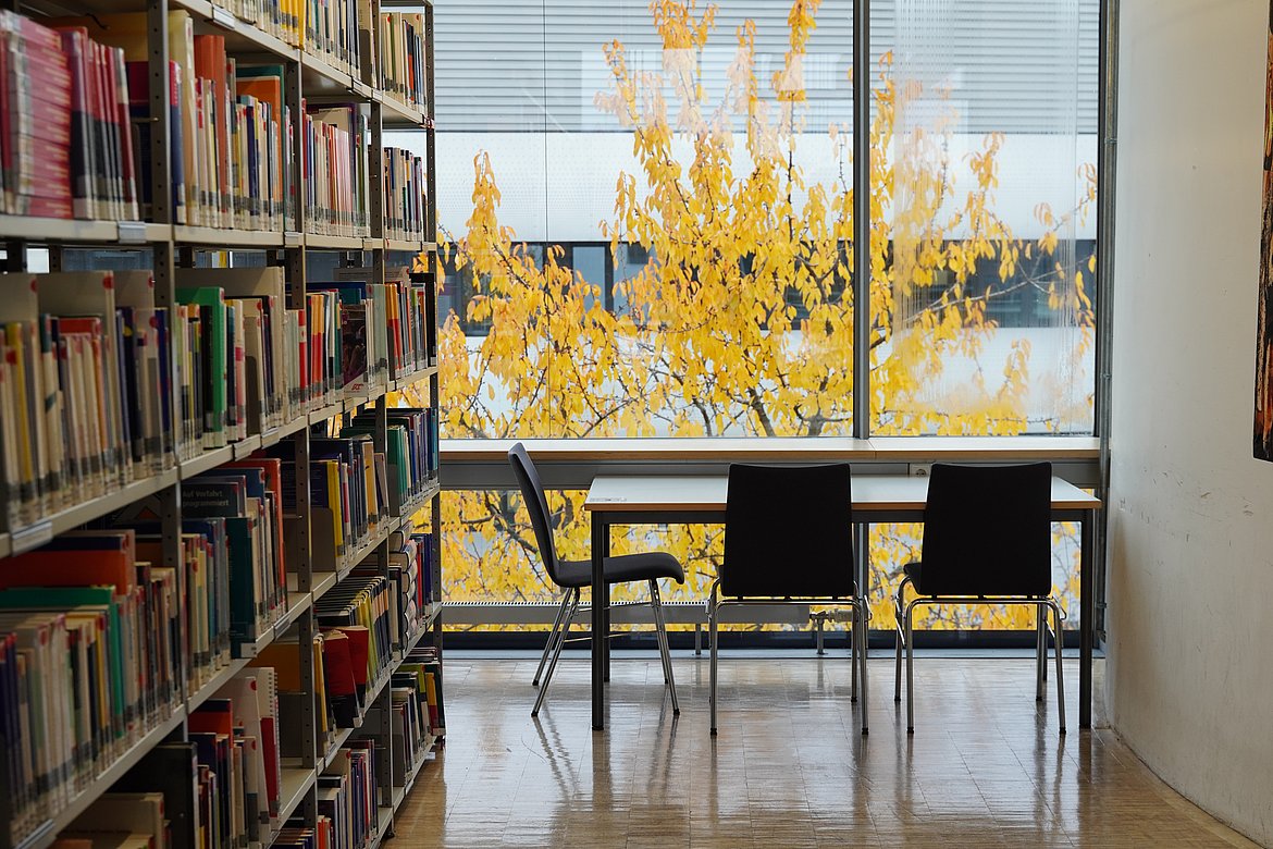 Arbeitsplatz Bibliothek Business PF