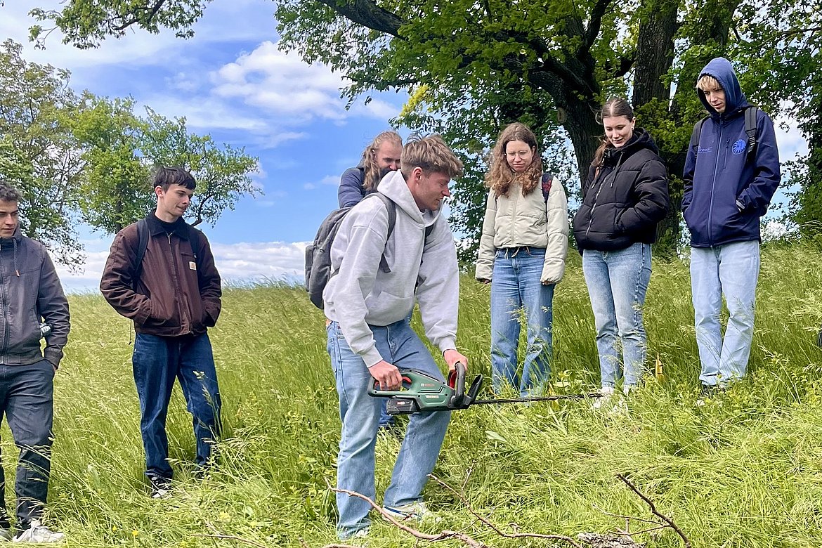 Mehrere Personen verteilt stehend auf grüner Wiese