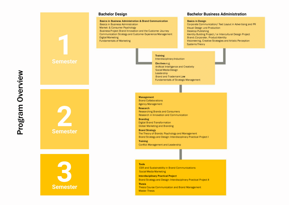 Overview Study Plan MCM