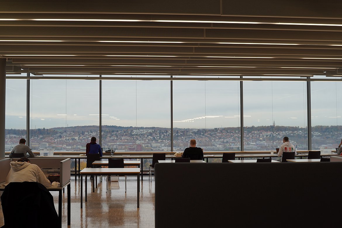 Arbeitsplatz Bibliothek Business PF