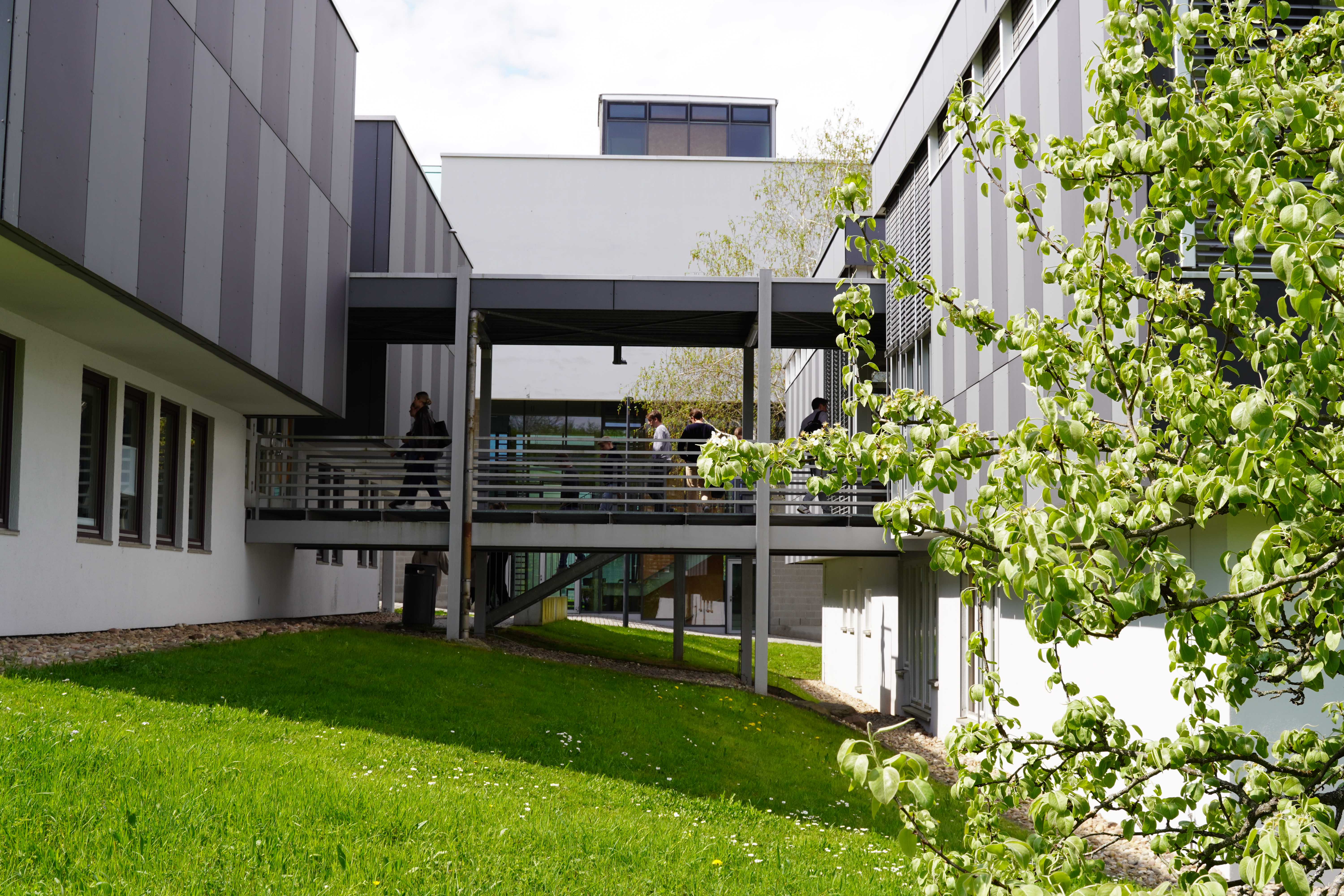 Campus Business School Spring